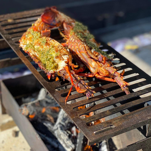 Portable flat-pack bbq grill