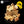 Load image into Gallery viewer, The Beginners Half Box Size