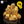 Load image into Gallery viewer, The Beginners Half Box Size